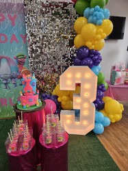 4ft Light up Marquee numbers